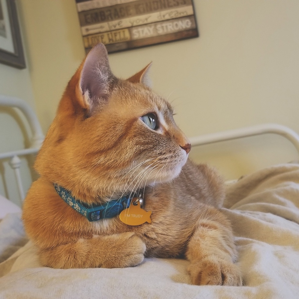 Meet your Posher, Katie